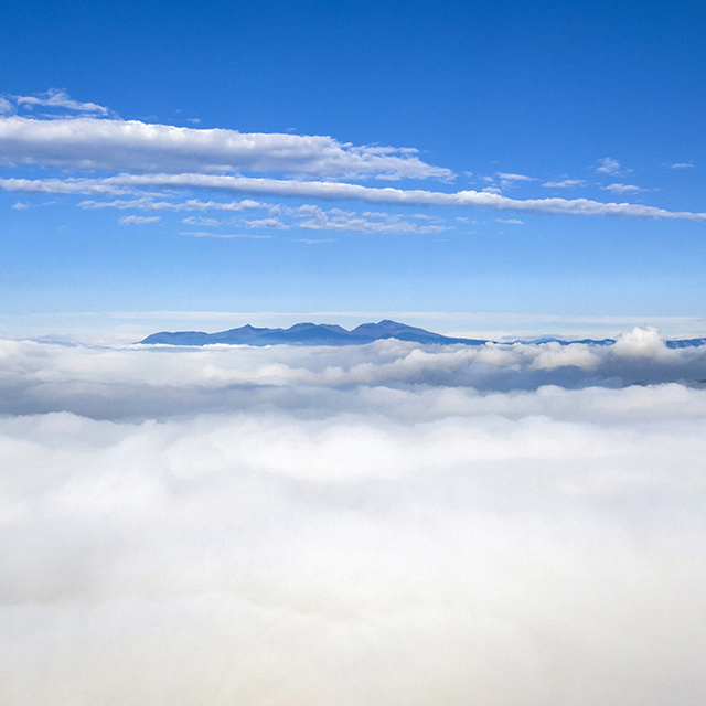 写真の説明を入れます