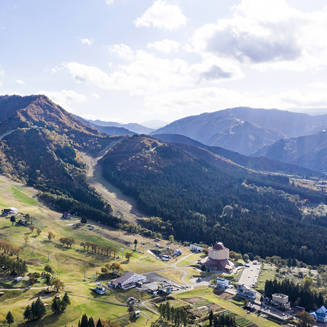 写真の説明を入れます