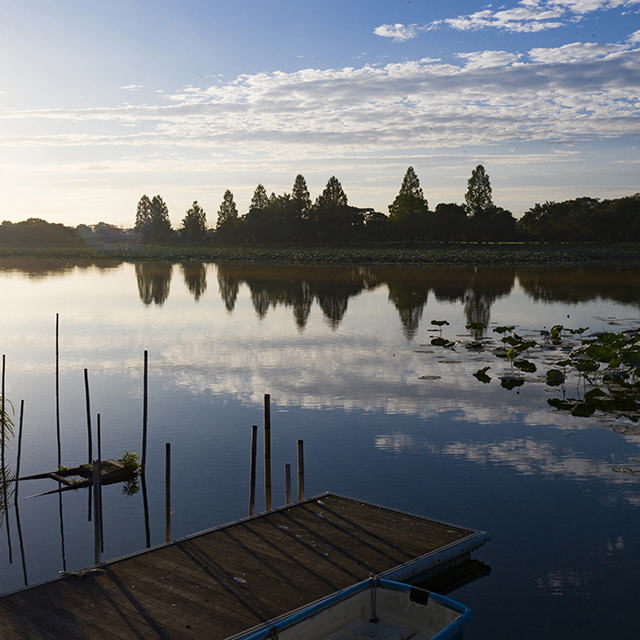 写真の説明を入れます