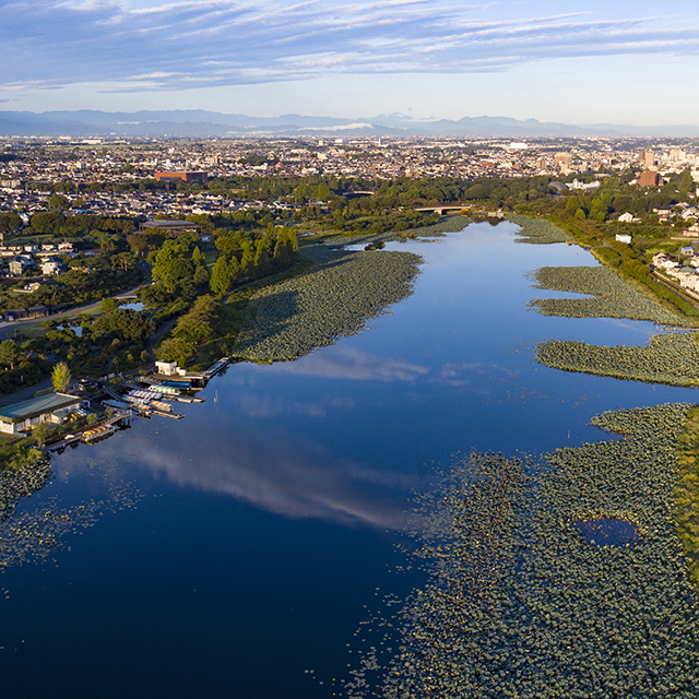 写真の説明を入れます