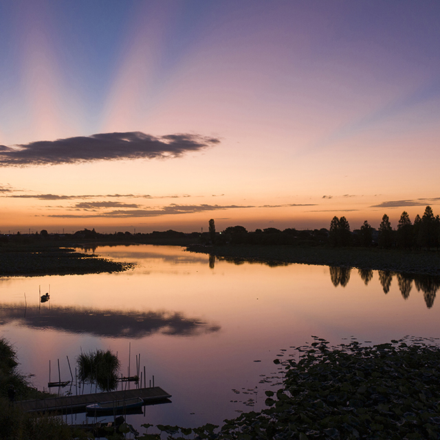 写真の説明を入れます