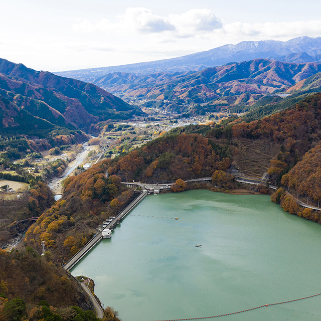 写真の説明を入れます