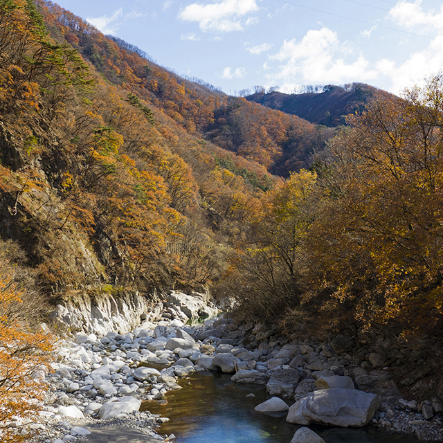 写真の説明を入れます