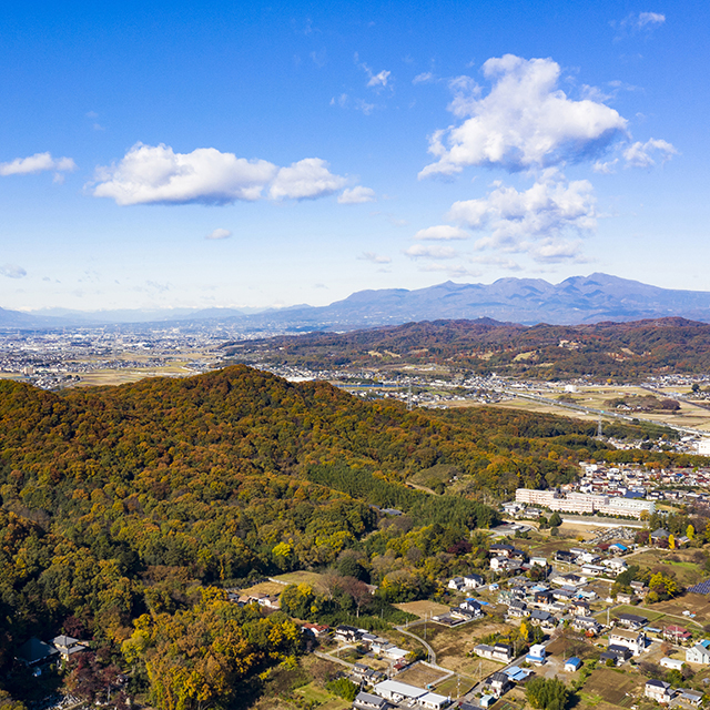 写真の説明を入れます