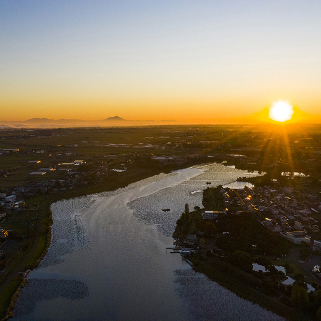 写真の説明を入れます