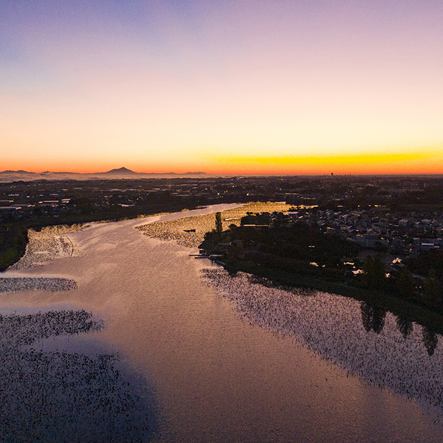 写真の説明を入れます