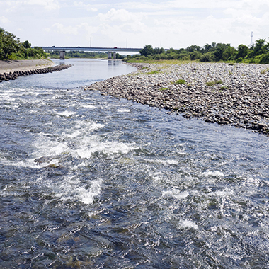 写真の説明を入れます
