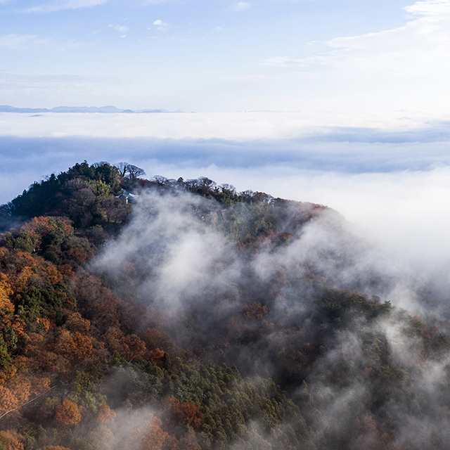 写真の説明を入れます