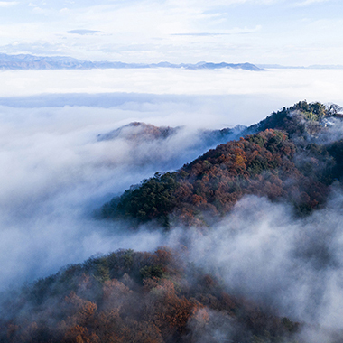 写真の説明を入れます