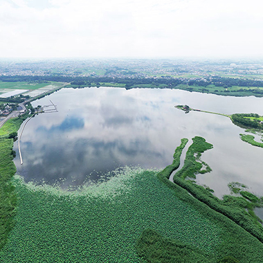 写真の説明を入れます