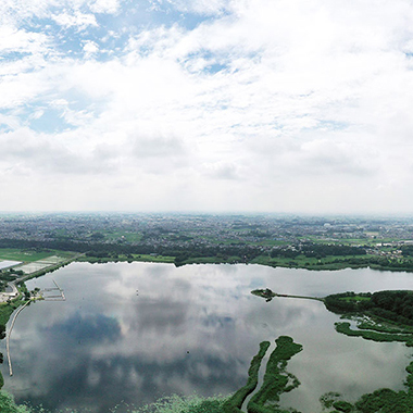 写真の説明を入れます