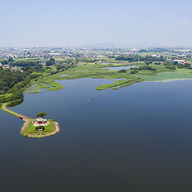 写真の説明を入れます