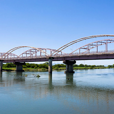 写真の説明を入れます