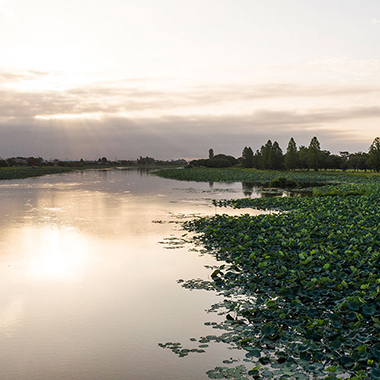 写真の説明を入れます