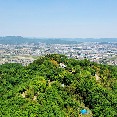 写真の説明を入れます