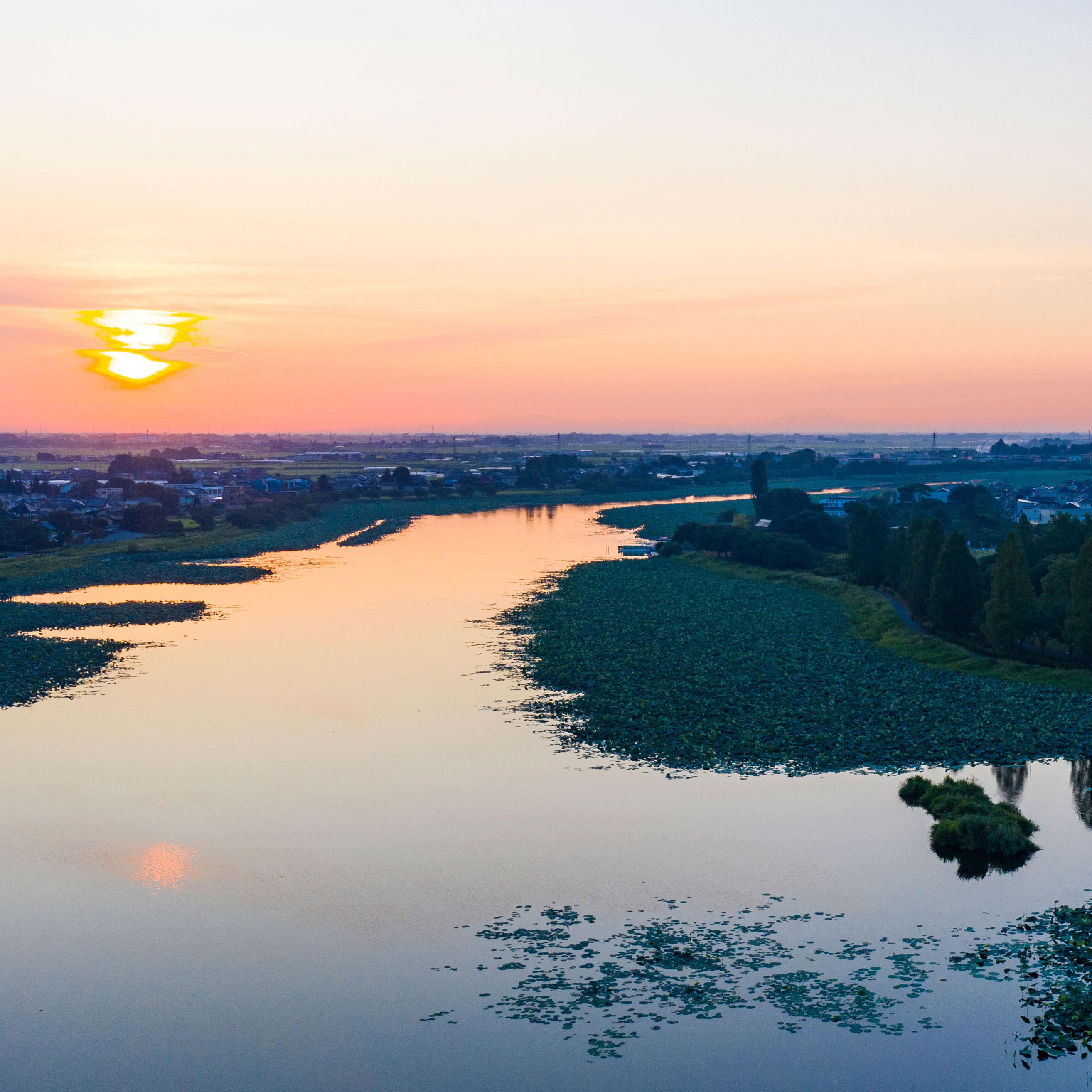 写真の説明を入れます