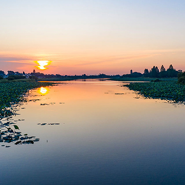 写真の説明を入れます