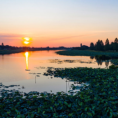 写真の説明を入れます