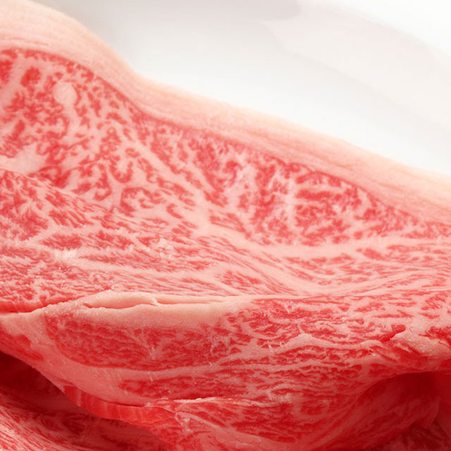 写真の説明を入れます