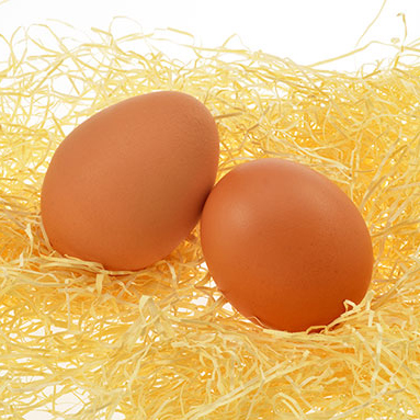 写真の説明を入れます