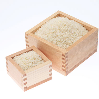 写真の説明を入れます