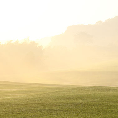 写真の説明を入れます