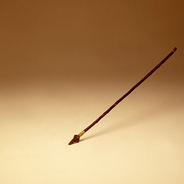 写真の説明を入れます