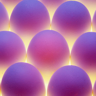 写真の説明を入れます