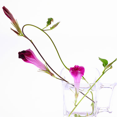 写真の説明を入れます