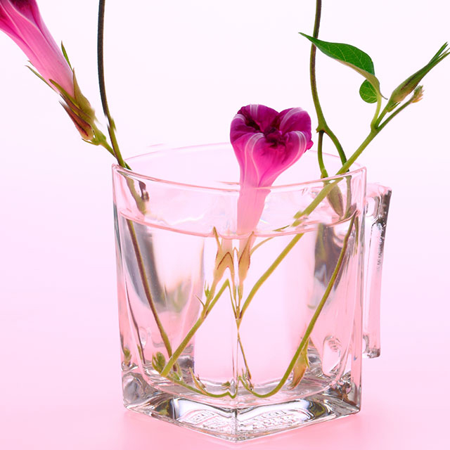 写真の説明を入れます