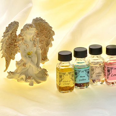 写真の説明を入れます