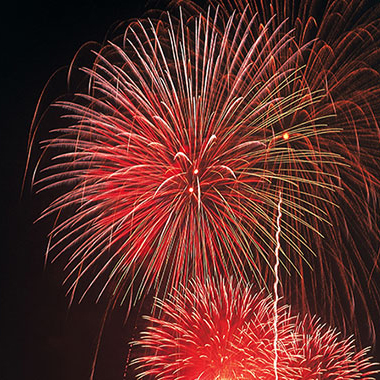 写真の説明を入れます