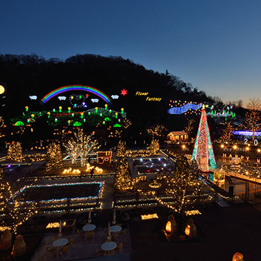 写真の説明を入れます