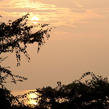 写真の説明を入れます