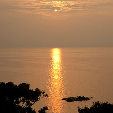 写真の説明を入れます