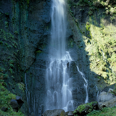 写真の説明を入れます