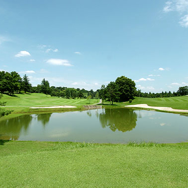 写真の説明を入れます