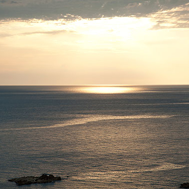 写真の説明を入れます