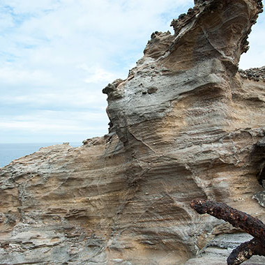 写真の説明を入れます