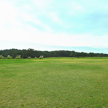 写真の説明を入れます