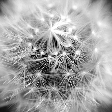 写真の説明を入れます