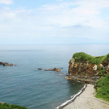 写真の説明を入れます