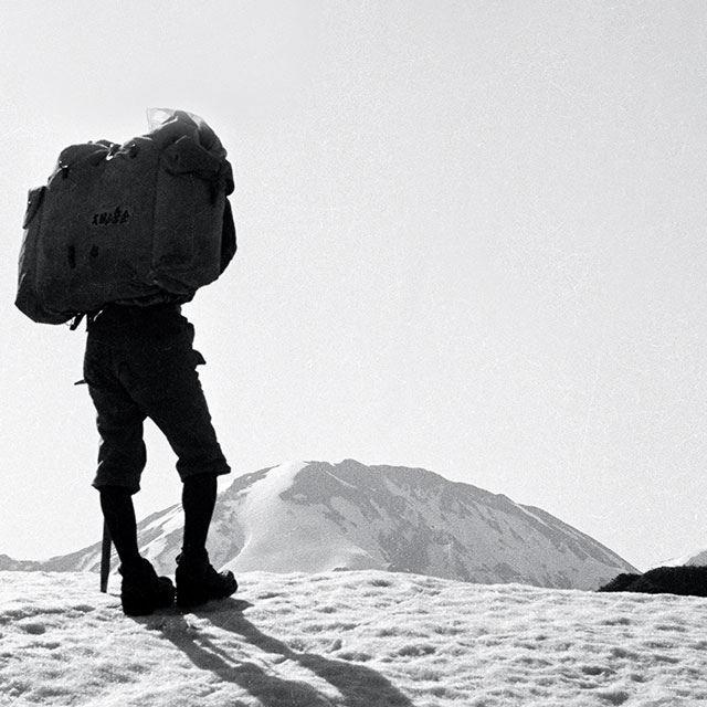 写真の説明を入れます