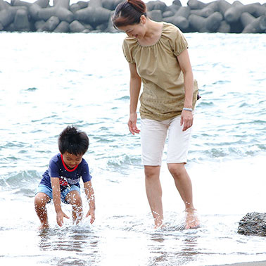 写真の説明を入れます