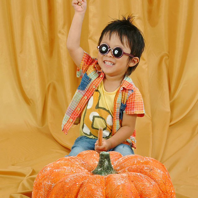 写真の説明を入れます